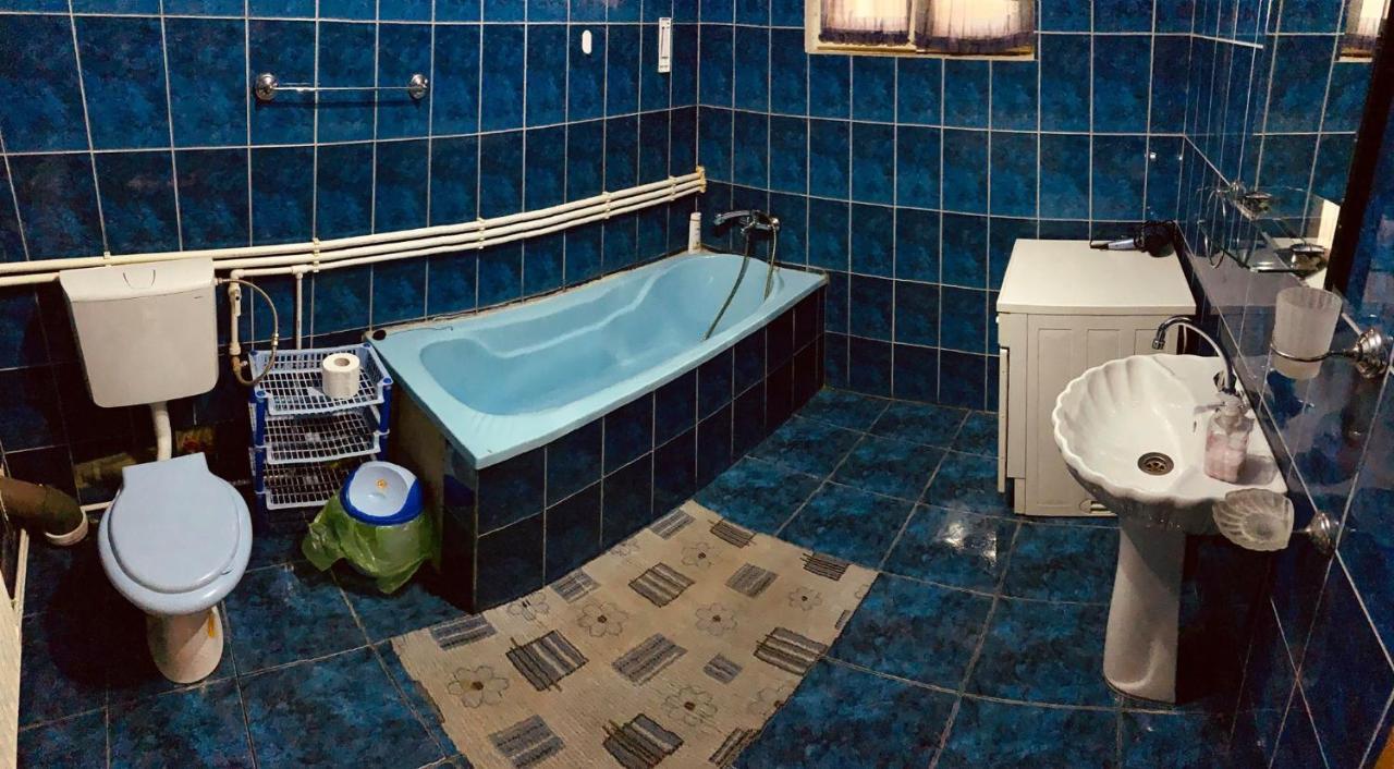 Casa Debora Hotell Haţeg Exteriör bild